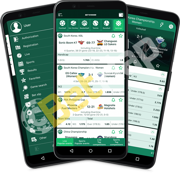 Complete Guide to Betwinner Registration 4 Complete Guide to Betwinner Registration 4